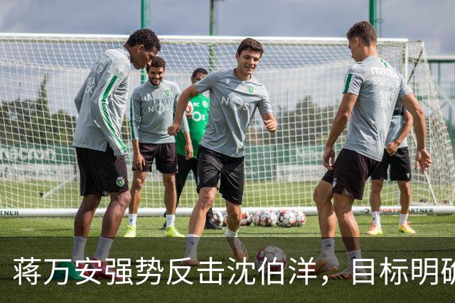 蒋万安强势反击沈伯洋，目标明确追求大胜